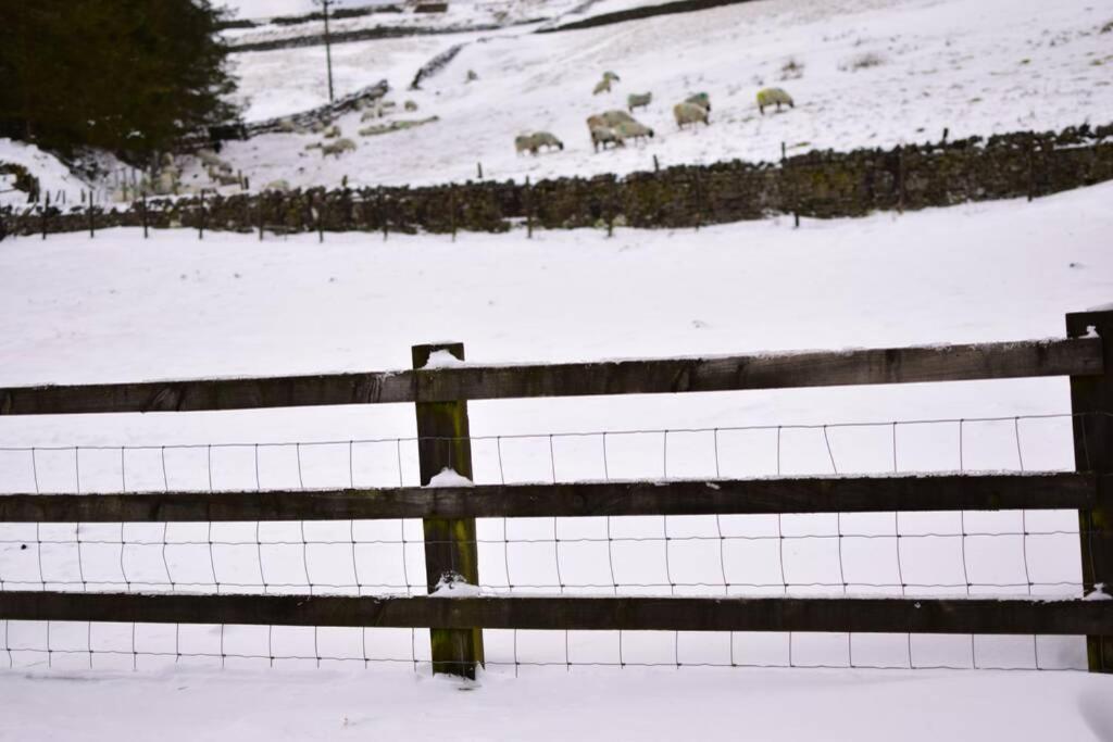 Cranmore House - A Walkers' And Cyclists' Dream Nenthead Exterior photo